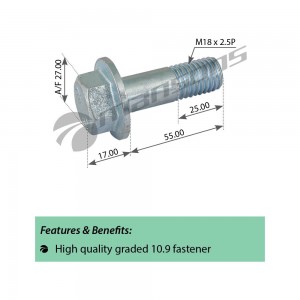 Болт DAF крепления суппорта (M18x2.5x55) MANSONS 200.341 MANSONS