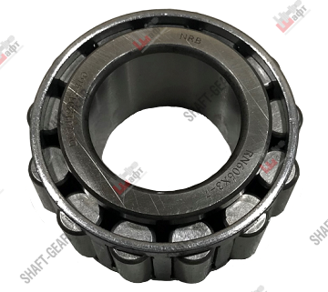 Подшипник роликовый КПП6J Внутр.D30 нар.D55 толщ27 RN606X37 SHAFT