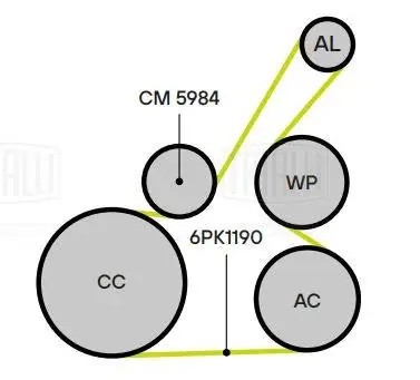 Ролик приводного ремня с натяжным механизмом CM 5984 TRIALLI