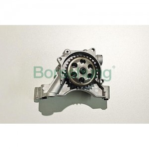 насос масляный!\ Seat Ibiza, Skoda Fabia/Roomster, VW Polo 1.4-1.6i 10> B12697 BORSEHUNG