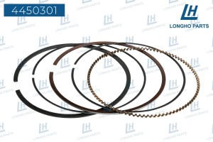 Кольца поршневые CHEVROLET Captiva (06-10) STD комплект на двигатель LONGHO 4450301 LONGHO PARTS
