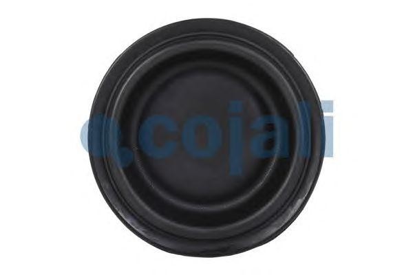 Диафрагма энергоакумулятора T24 6001118 COJALI