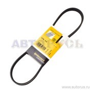ремень поликлиновой!\ Peugeot 205/309 1.0-1.4 85>, Nissan Primera 1.6 90-01 4PK815 CONTITECH