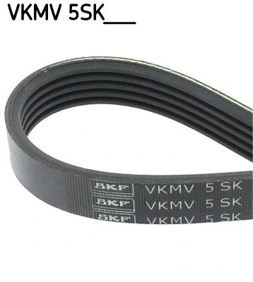 FOCUS II (2005-2008) 5PK705 ELAST VKMV5SK705 SKF