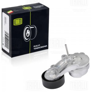 Ролик привод. ремня BMW 3 F30 (11-)/5 F10 (11-) 2.0i [N20;26] (с натяж. мех.) (C CM 2608 TRIALLI