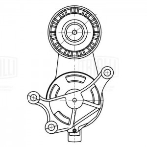 Ролик привод. ремня VW Golf V (03-) 2.0TFSi (с натяж. мех.) (CM 5438) CM 5438 TRIALLI
