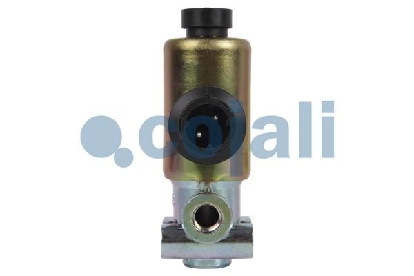 Клапан магнитный 2218215 COJALI