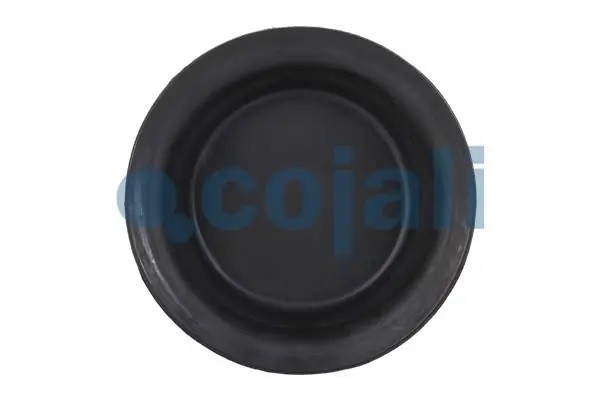 мембрана !глубокая 20 h=45 D=168 \MB, Scania, RVI, DAF 6001113 COJALI