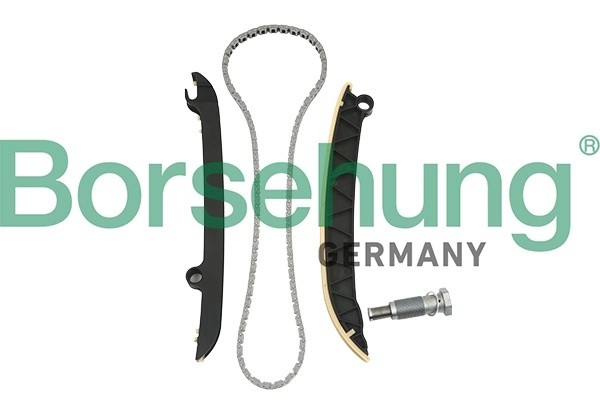 рем.к-кт цепи ГРМ!\ VW Golf/Polo/Jetta/Caddy, Skoda Fabia/Octavia 1.2TSI 10-14 B18843 BORSEHUNG