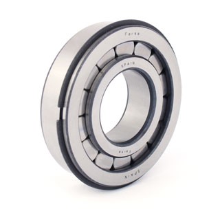 Подшипник дифференциала R 560/660, RB 660 Scania F19076 FERSA