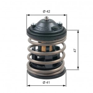 Термостат BMW 3 (F30),5 (F10),X5 (F15) (2.0) с прокладкой GATES TH47487G1 GATES