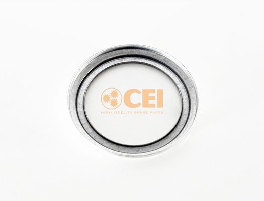 Пыльник фланца 139812 CEI