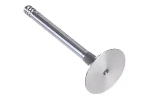 клапан впускной! 36x8x95.55\ VW Golf/Passat/T4 1.9TD/LT 2.4TD 89> Z71453 ZENTPARTS