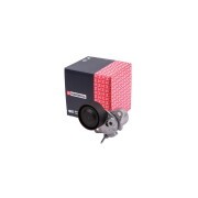 Натяжитель прив. ремня Audi: A3 12- A6 11- Q5 17- VW: Polo V 14- Tiguan 16- Skod MS9654 MARSHALL