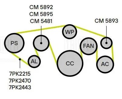 Ролик привод. ремня Nissan Pathfinder (05-) 4.0i (с натяж. мех.) (CM 5892) CM 5892 TRIALLI