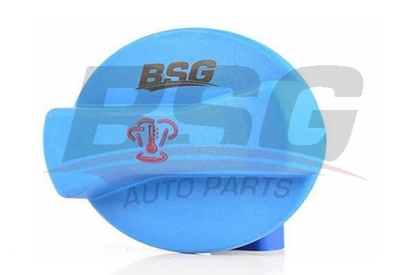 Крышка радиатора VW Golf 4,Bora AUDI A3 SEAT Toledo SKODA Octavia (97-04) BSG BSG 90-551-004 BSG