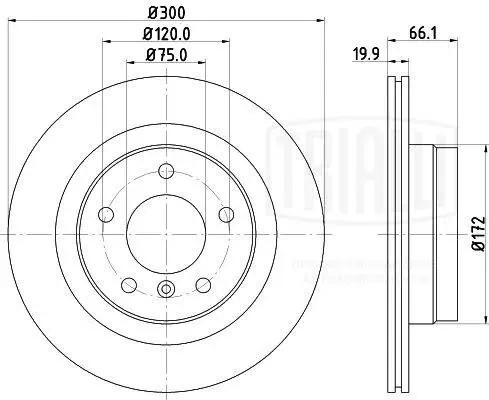 Диск торм. BMW 3 (E90) (05-)/1 (E81) (04-) зад. d=300 (окраш.) (DF 261005)  2шт DF 261005 TRIALLI