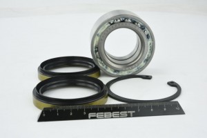 Подшипник ступицы задний SUZUKI GRAND VIATARA DAC35620031-KIT DAC35620031-KIT FEBEST