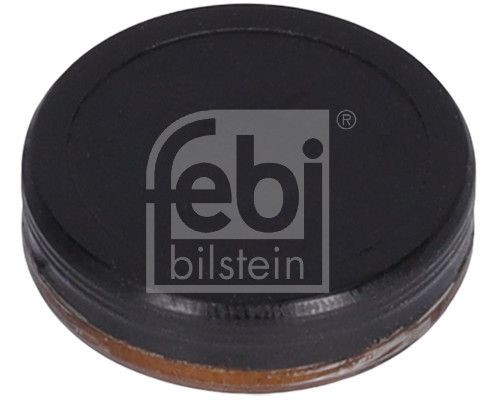Заглушка MERCEDES (M271) ГБЦ FEBI 38327 FEBI BILSTEIN