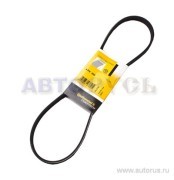 Ремень поликлиновой 4PK950 4-PK-950 CONTITECH