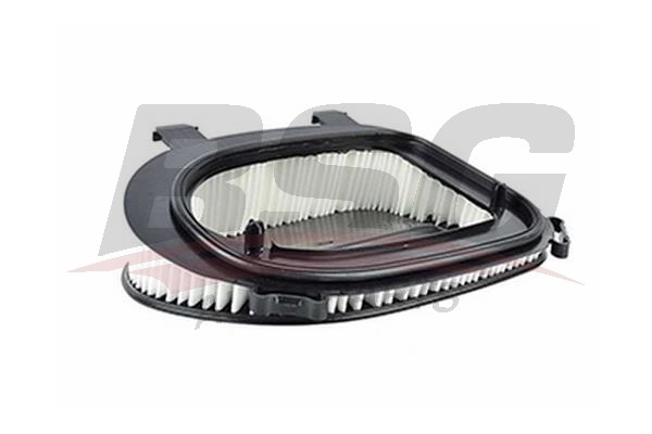 Фильтр воздушный BMW X3 (F25),X5 (E70),X6 (E71) (11-) BSG BSG15135013 BSG