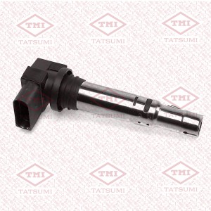 VW POLO/GOLF/BORA THG1115 TATSUMI