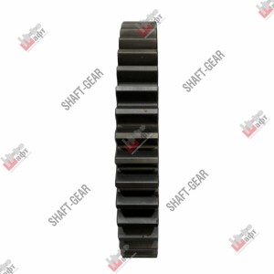 Шестерня 1-й передачи вторичного вала WG2210040106 SHAFT