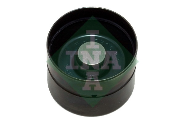 AUDI / SEAT / VW 1.2/1.4/1.9 TDI 420 0209 10 INA