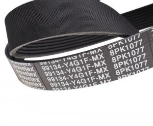 Ремень приводной поликлиновой 8PK1077 JAC N350 кондиционера MOVELEX 99134Y4G1FMX MOVELEX