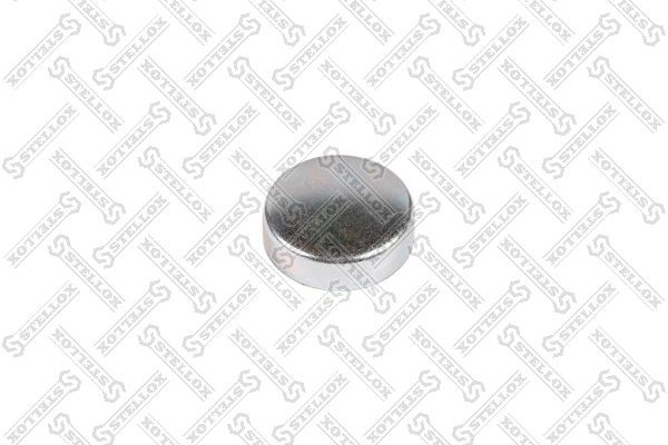 заглушка ГБЦ !(м) d=45\ DAF 81-97303-SX STELLOX