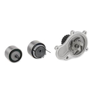 Комплект ГРМ с насосом CHRYSLER VOYGER IV 2.4 530064130 530 0641 30 INA
