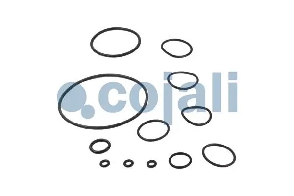 Ремкомплект DAF MAN MERCEDES регулятора тормозных сил COJALI 6012030 COJALI