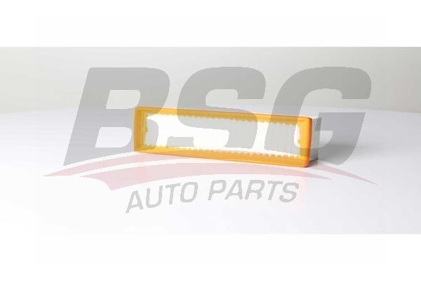Фильтр воздушный RENAULT Duster (10-) (1.5 DCI) BSG BSG75135002 BSG