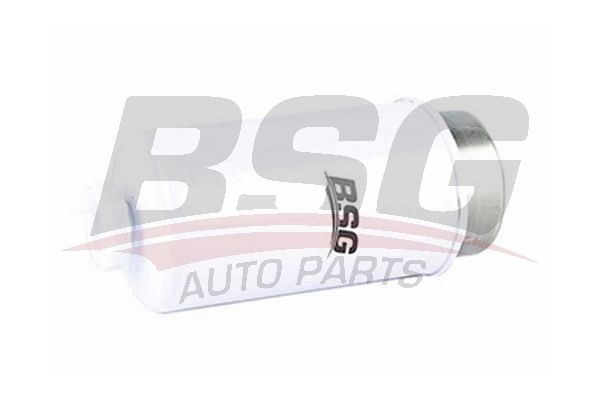 Фильтр топливный FORD Transit (06-) (2.4 TDCI) BSG BSG30130011 BSG